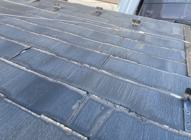 ニチハ　パミール