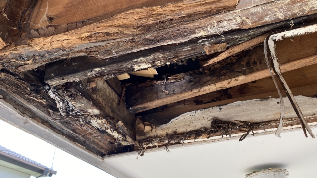 木部の劣化