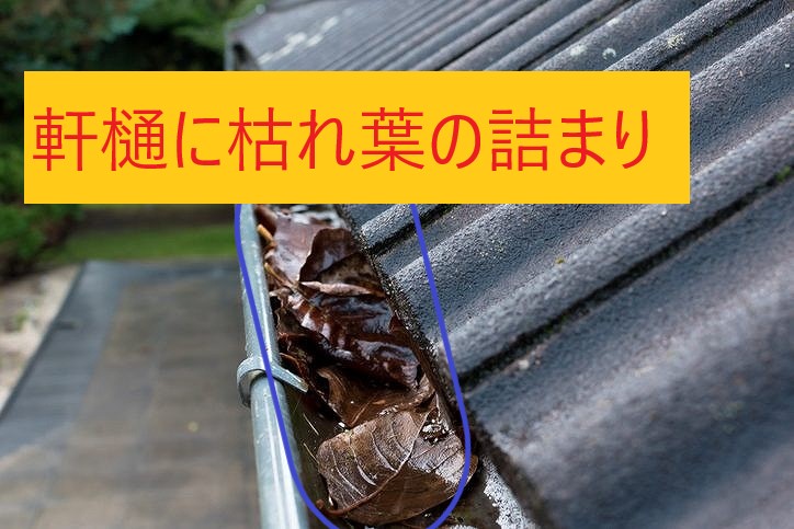 枯れ葉の詰まり軒樋