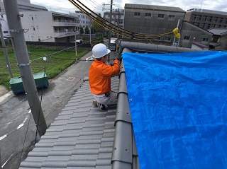 ブルーシート養生