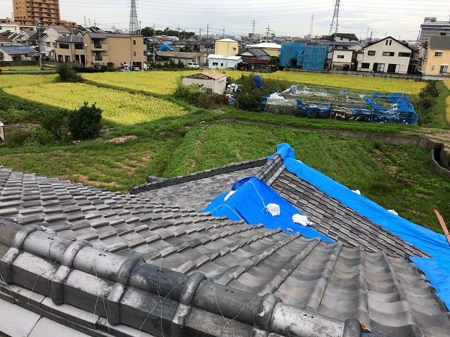 台風被害後の屋根の現場調査