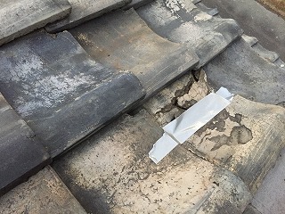 屋根の現場調査