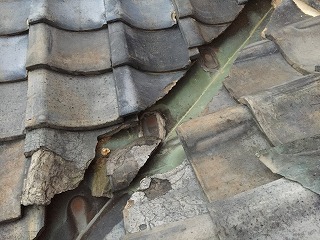 屋根の現場調査