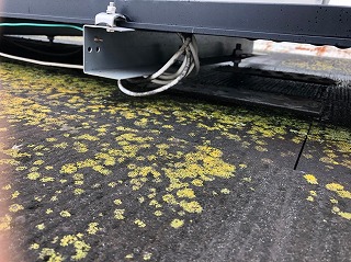 屋根の現場調査