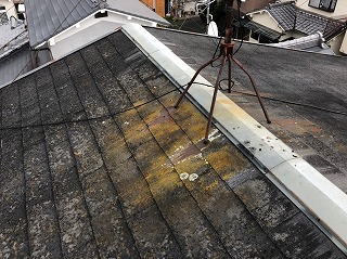 カラーベスト屋根