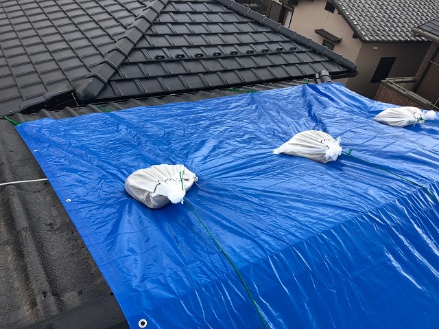 ブルーシート養生