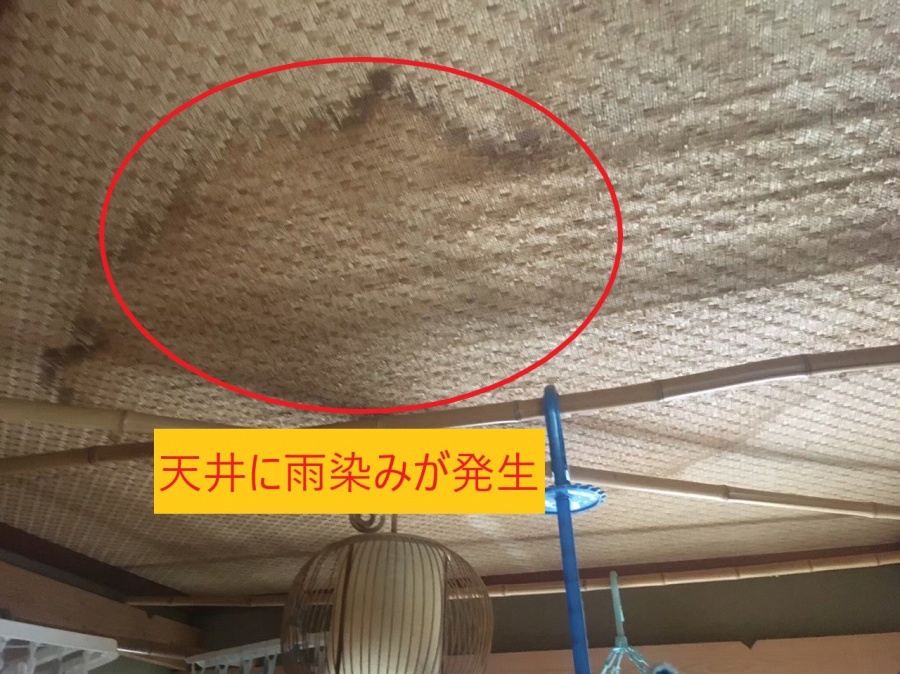 天井雨染み