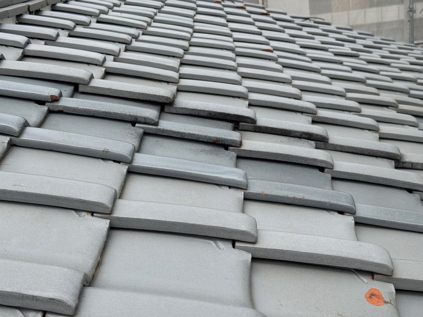 大津市 屋根調査 漆喰 