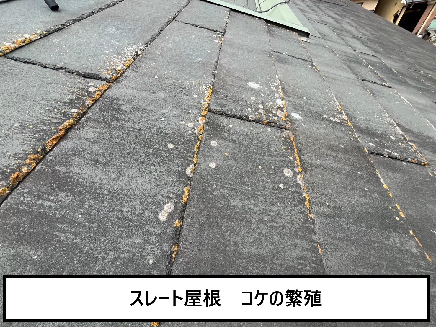 スレート屋根の劣化