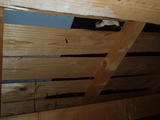 小屋裏の現場調査