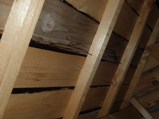 小屋裏の現場調査