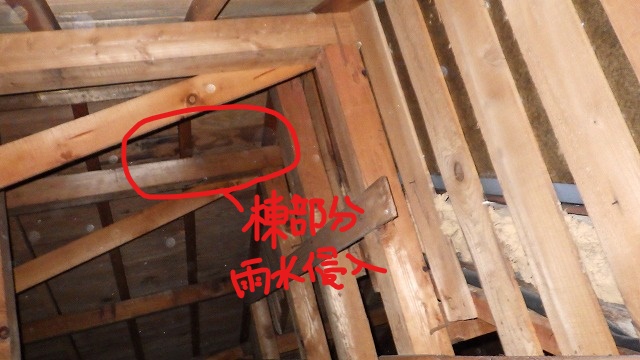 棟部分雨水侵入