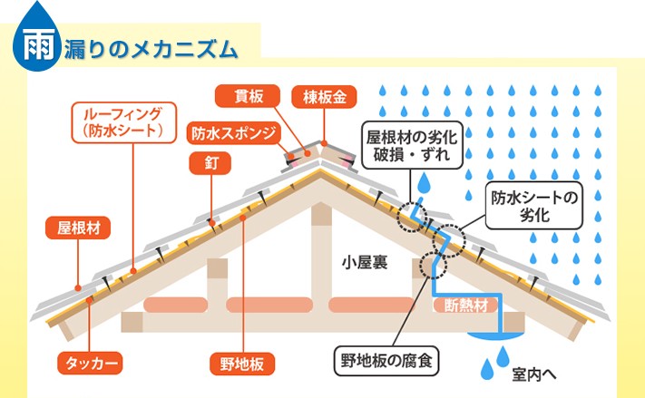 雨漏りメカニズム