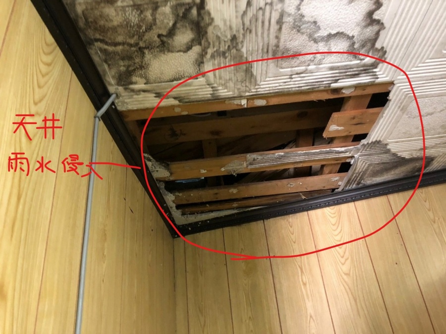 天井腐食