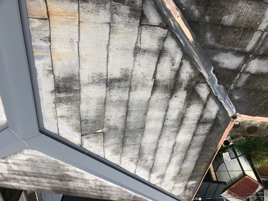 スレート屋根のコケの繁殖