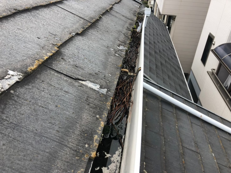 スレート（雨樋）付近