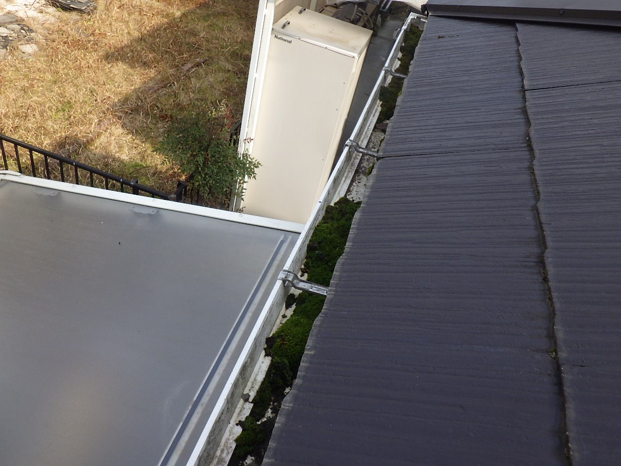 近江八幡市　雨樋コケ