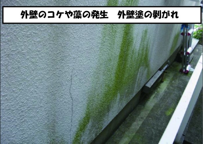 外壁汚れ