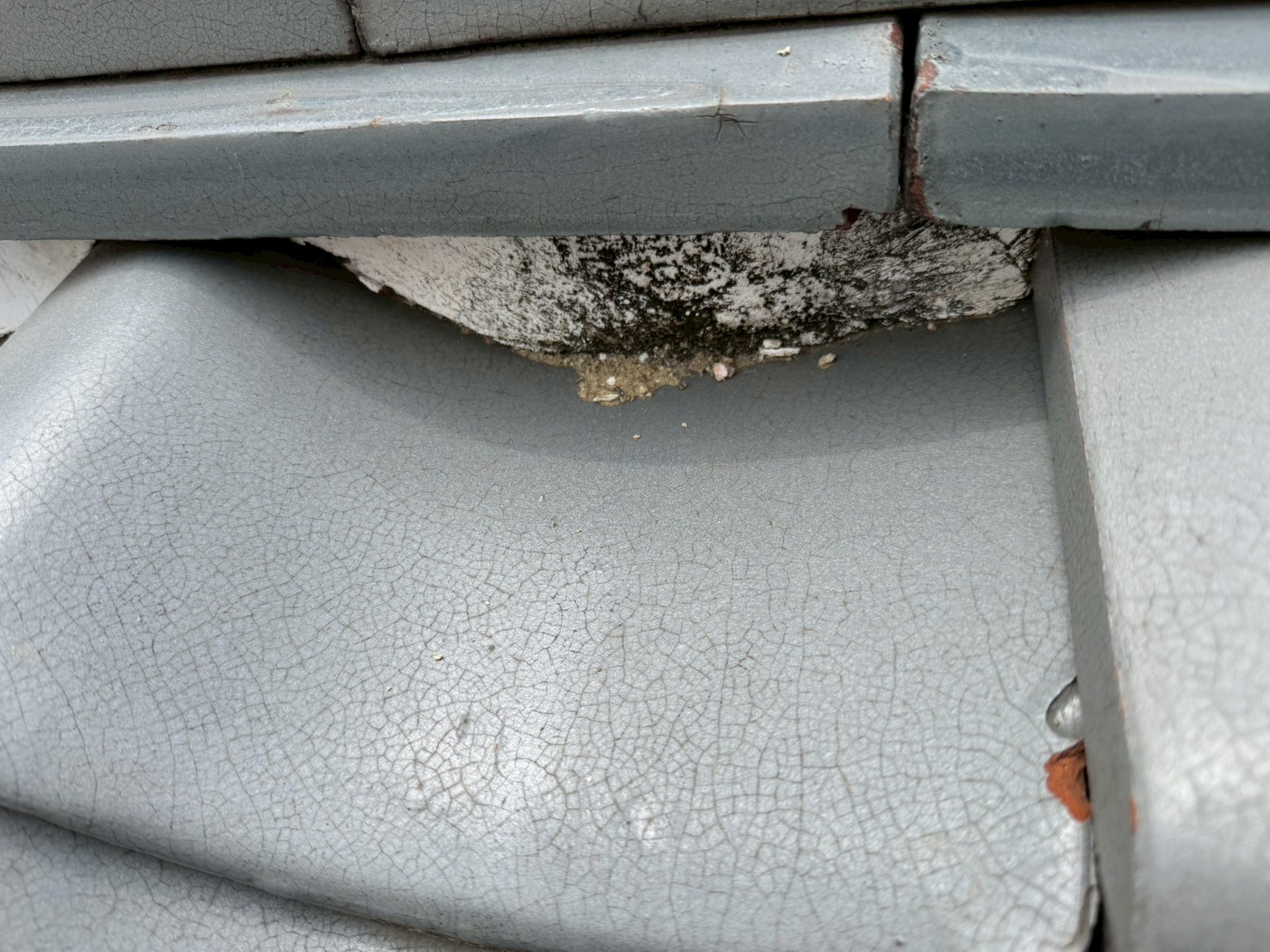 大津市 屋根調査 漆喰 (1)