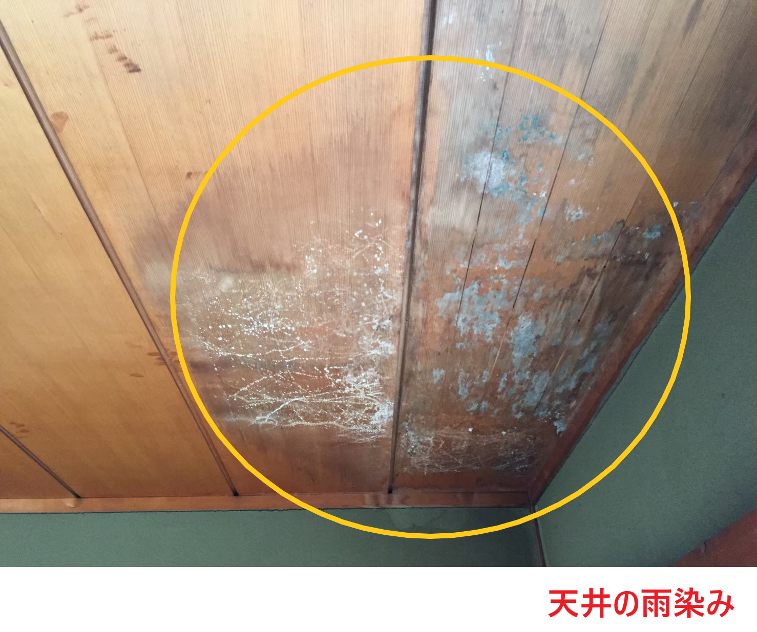 天井の雨染み