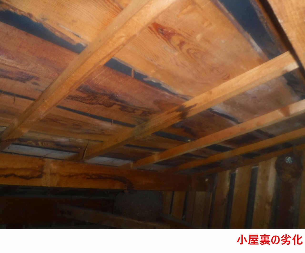 小屋裏の劣化
