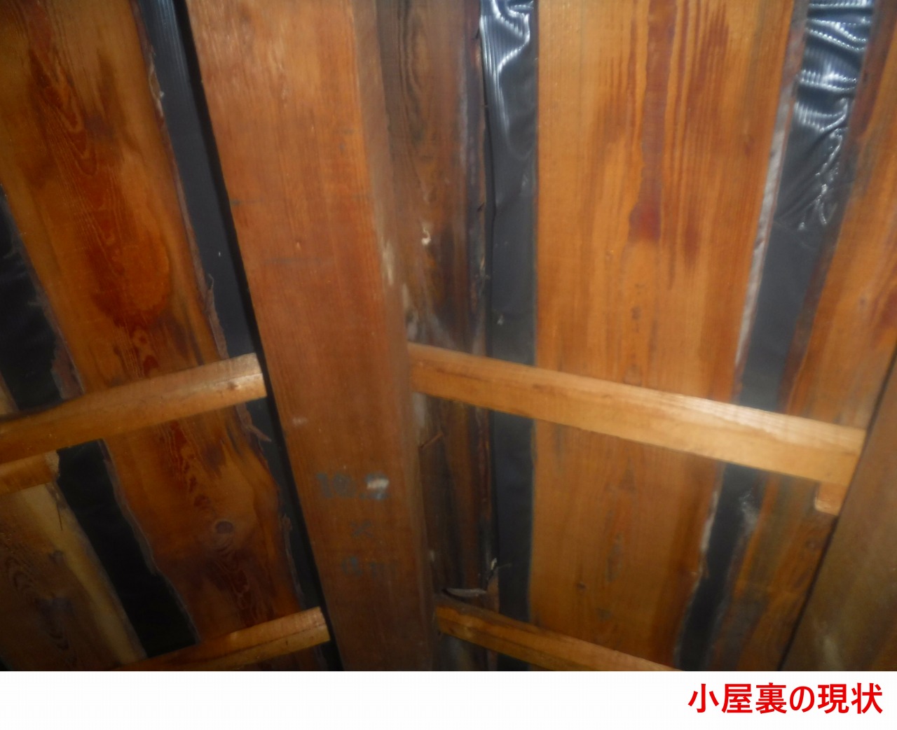 小屋裏の現状2