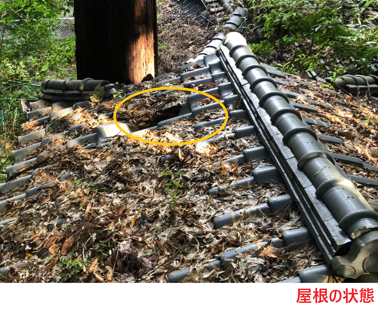 屋根の状態2