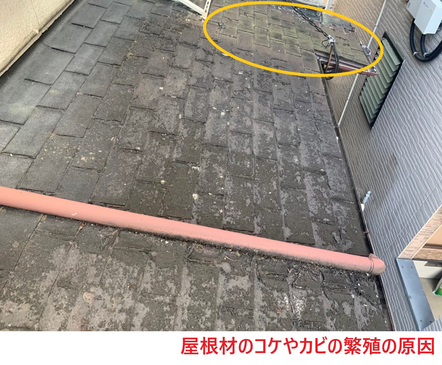 屋根材のコケやカビの繁殖原因