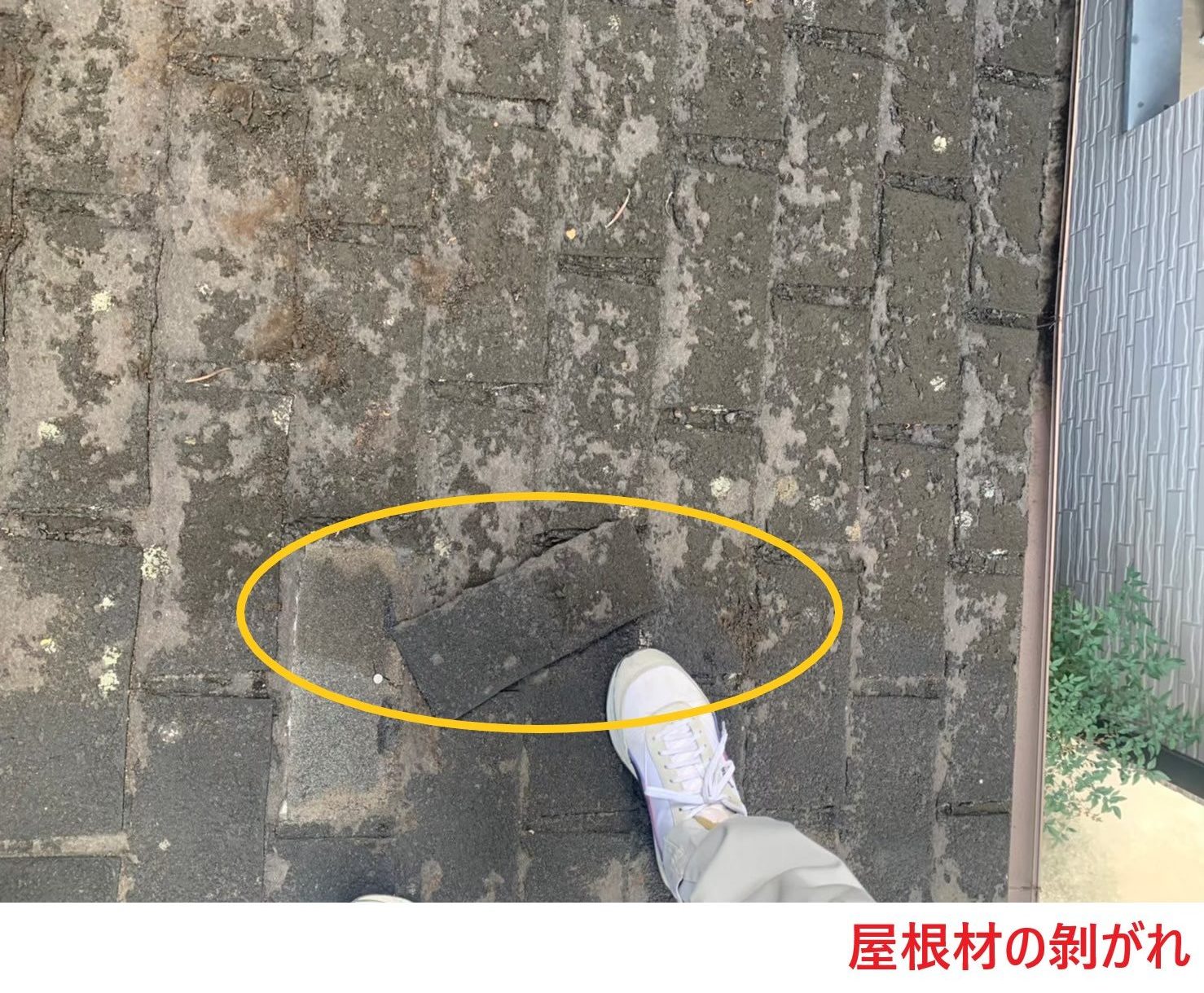 屋根材の剝がれ