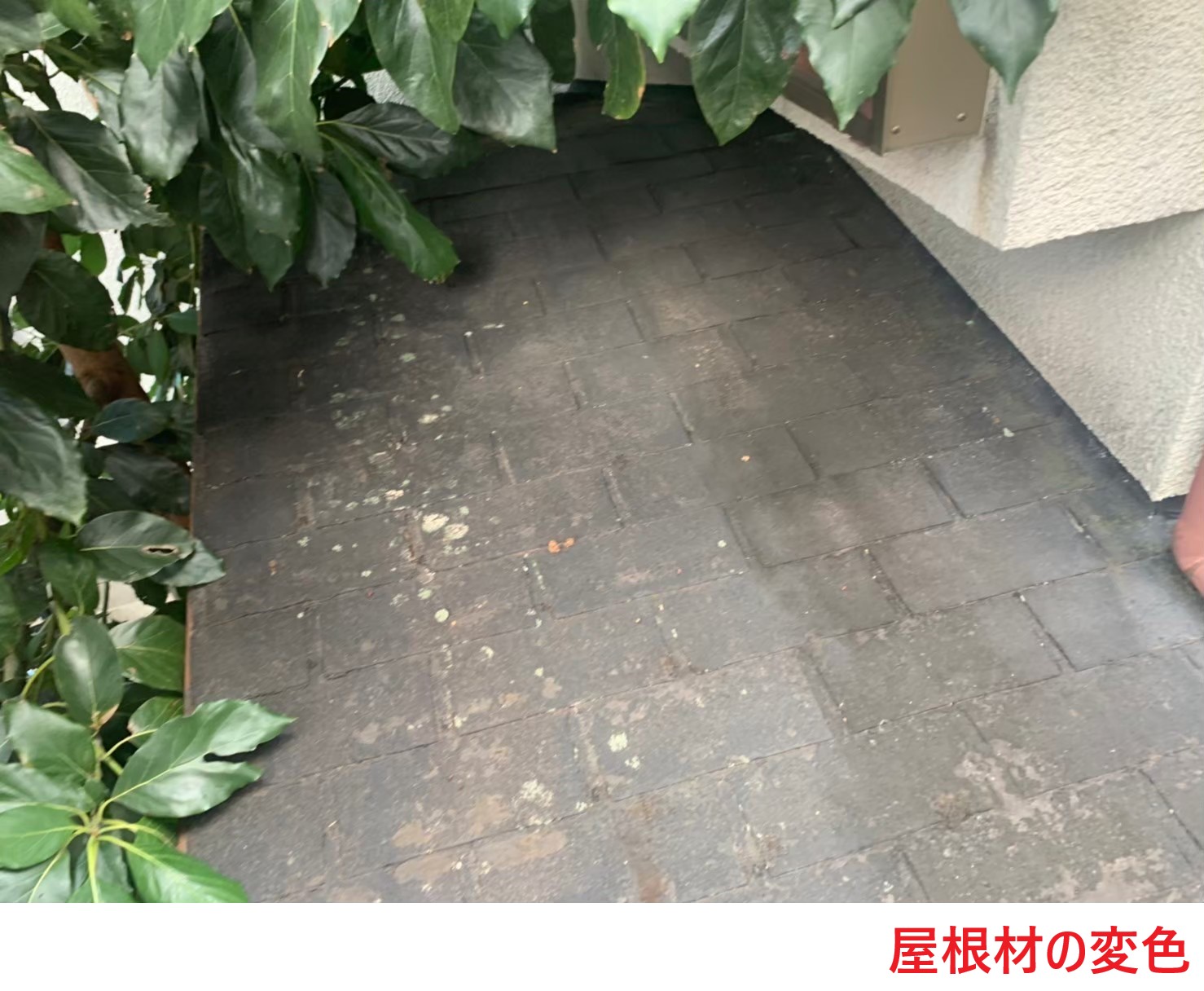 屋根材の変色