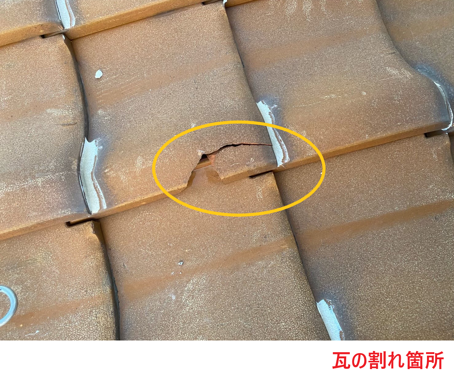 瓦の割れ箇所