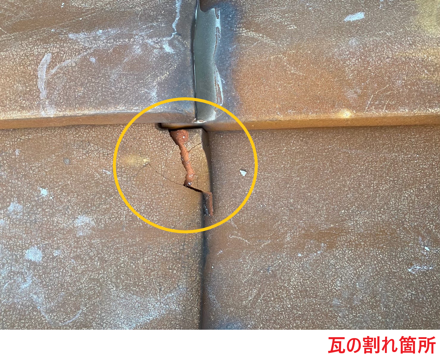 瓦の割れ箇所2