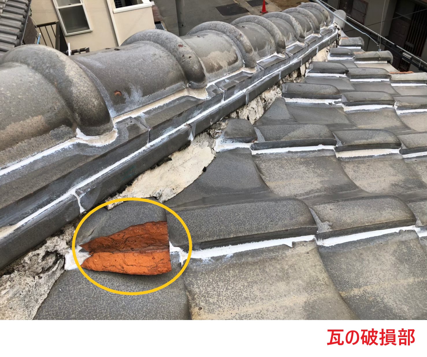 瓦の破損部 (1)