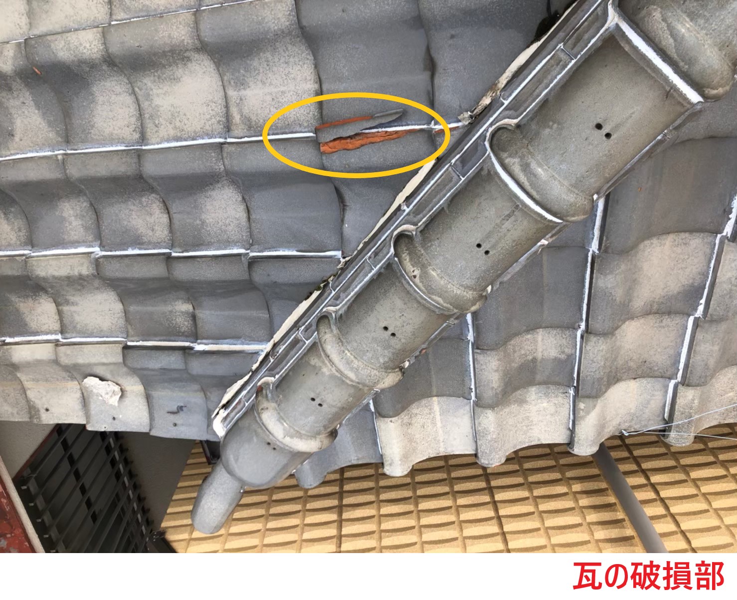 瓦の破損部 (2)