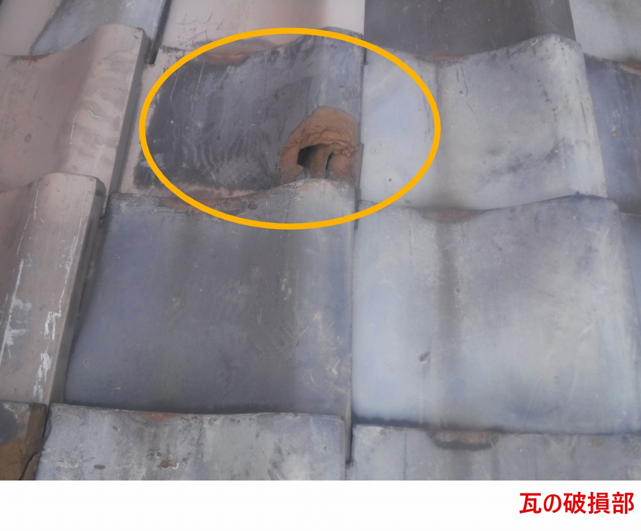 瓦の破損部