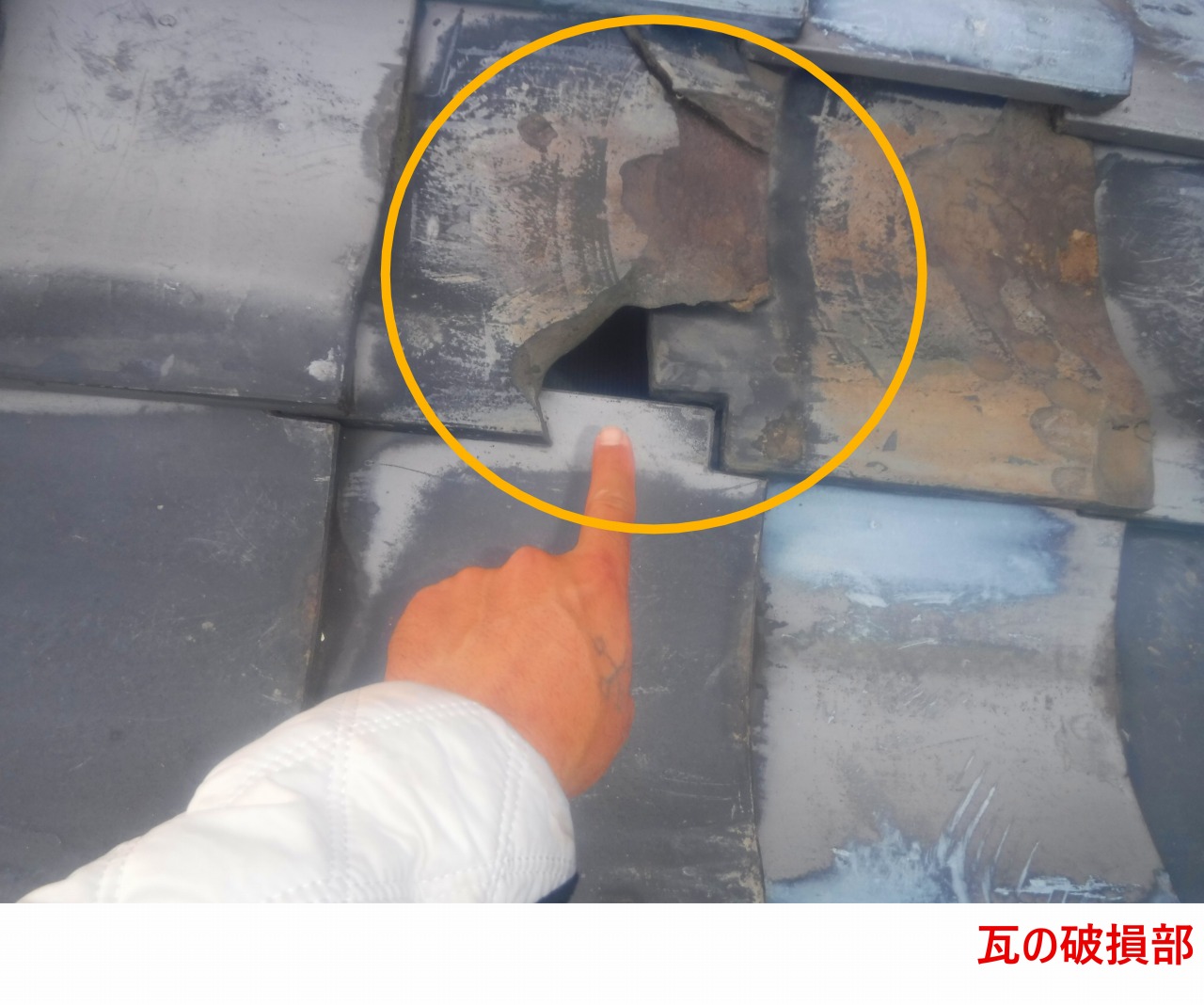瓦の破損部2