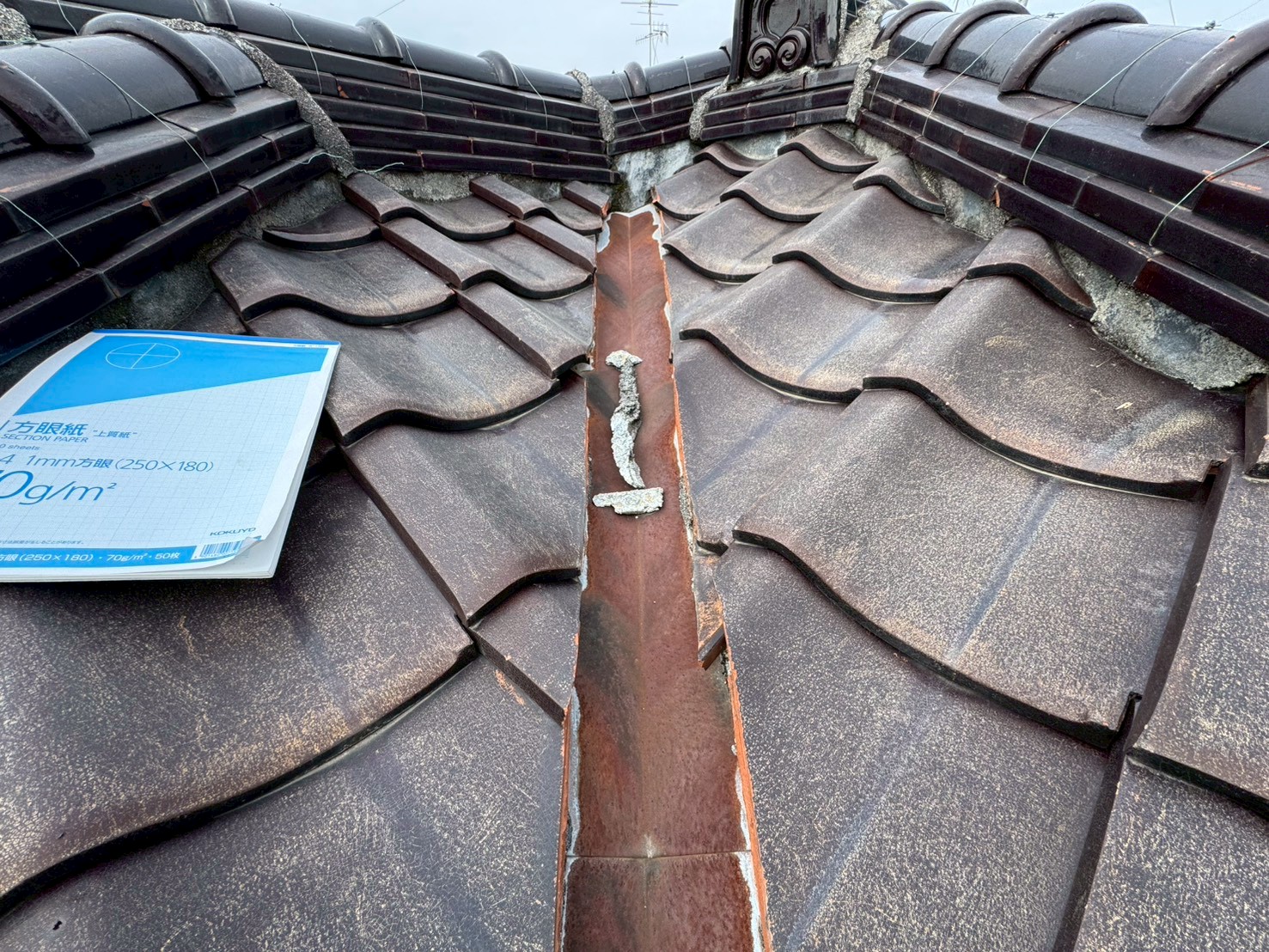 草津市 漆喰調査 (1)