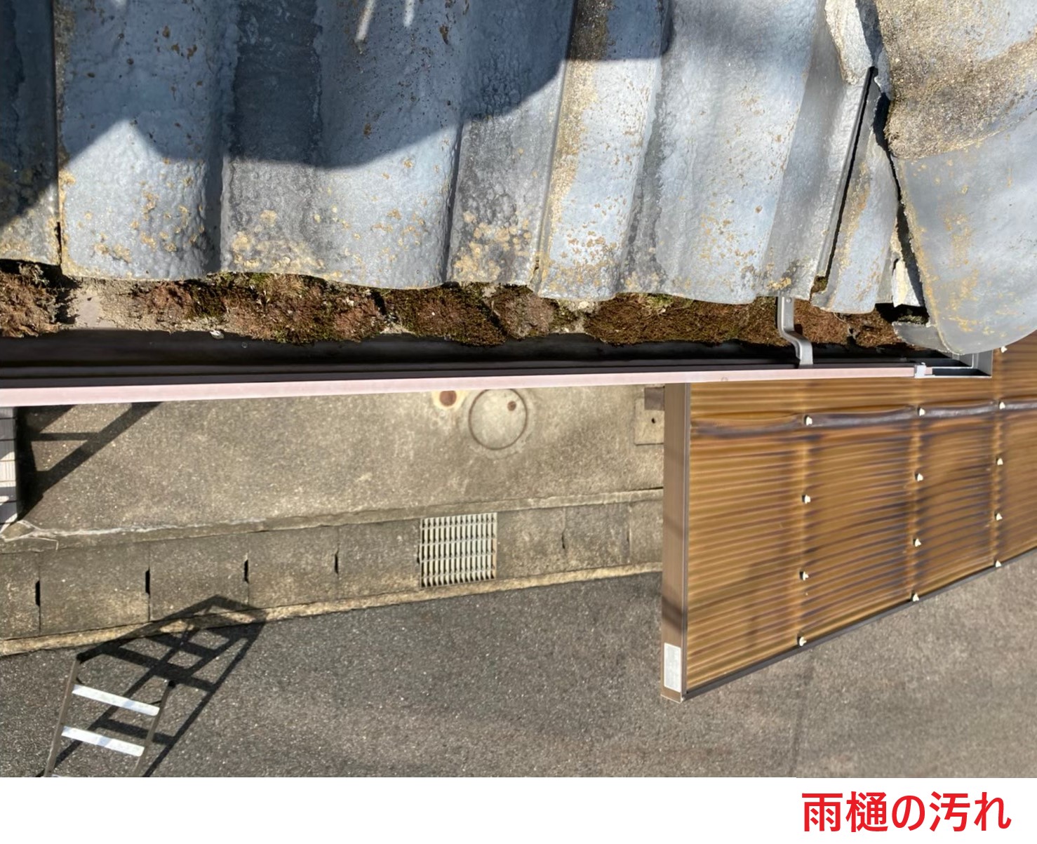 雨樋の汚れ