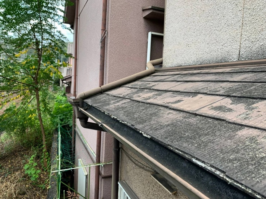 屋根カラーベスト点検３