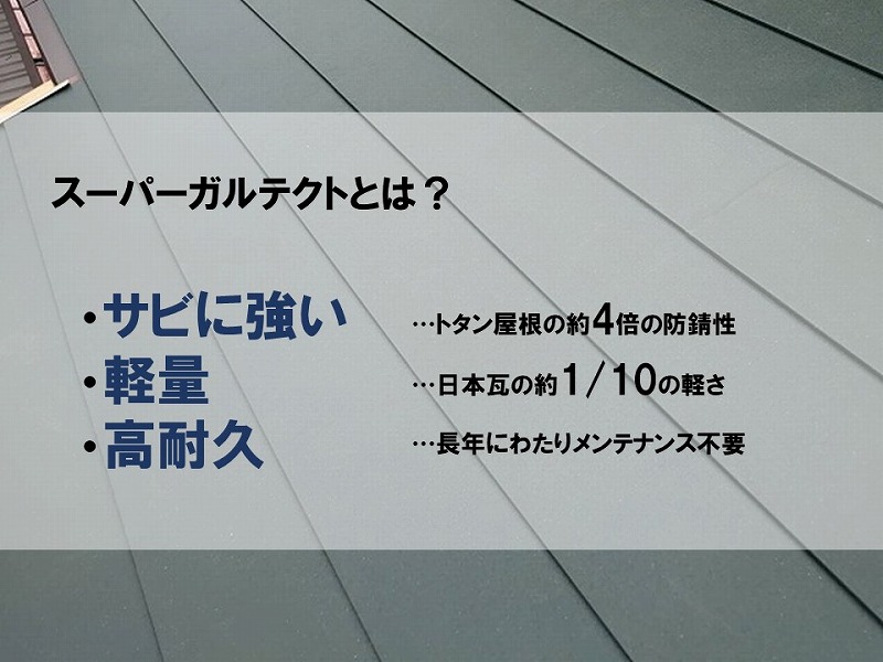 スーパーガルテクトについて解説