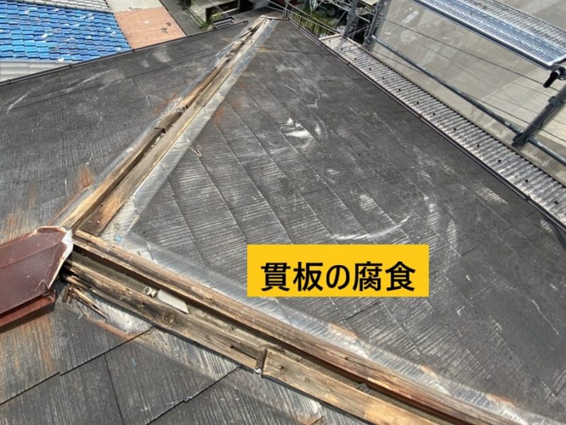 棟下地（貫板腐食）