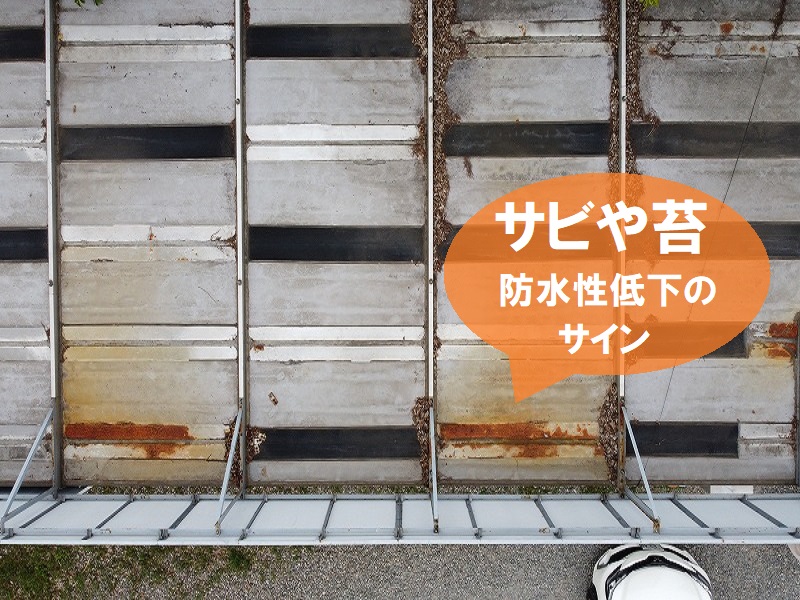 屋根の劣化症状　サビや苔は防水性低下のサイン