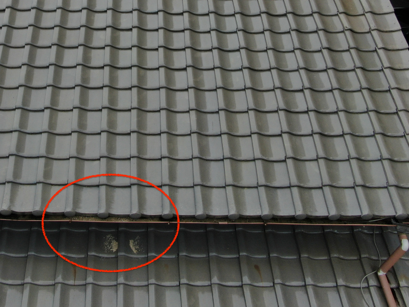 雨樋のつまり