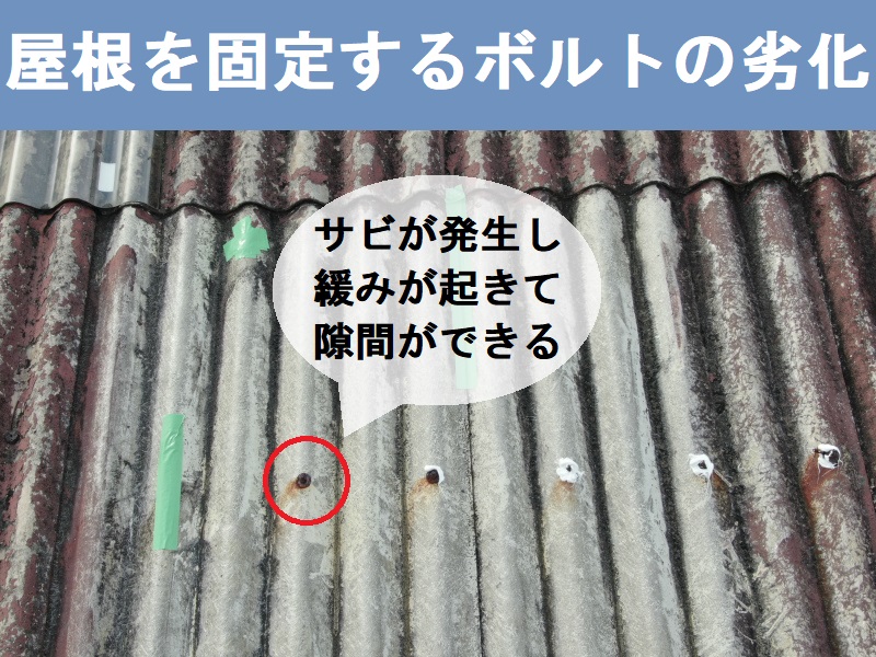 八尾市雨漏りをもたらす屋根の劣化症状　屋根を固定するボルトの劣化