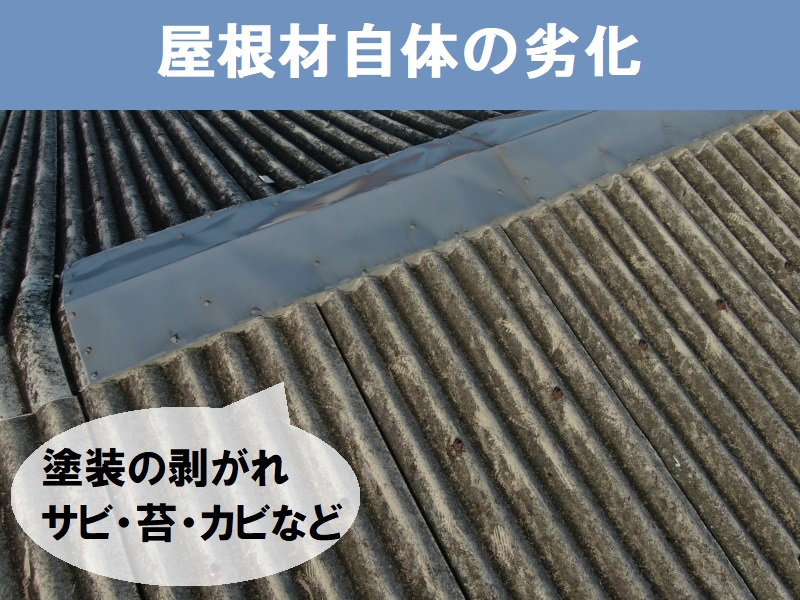 八尾市雨漏りをもたらす屋根の劣化症状　屋根の汚れ
