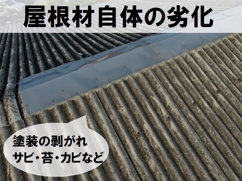 富田林市　工場屋根の雨漏りの原因　屋根材自体の劣化（苔・サビ・カビなど）