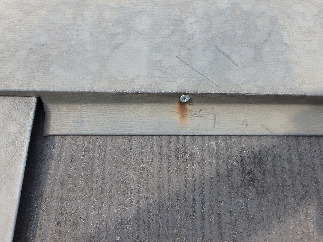 棟板金ビス止め