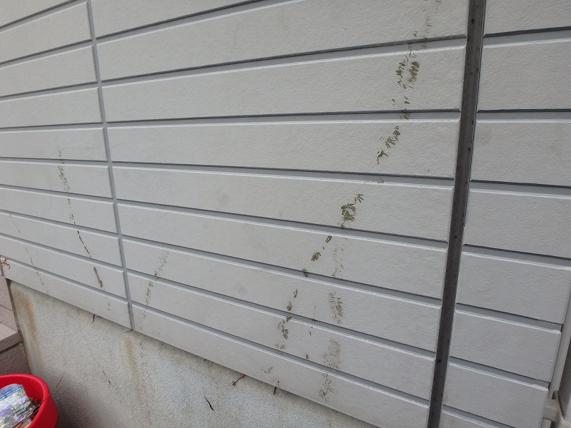 セキスイハウス　現場調査