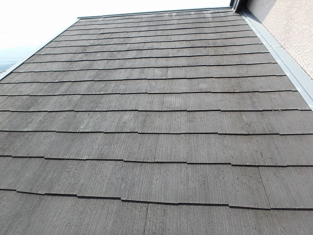 屋根現状