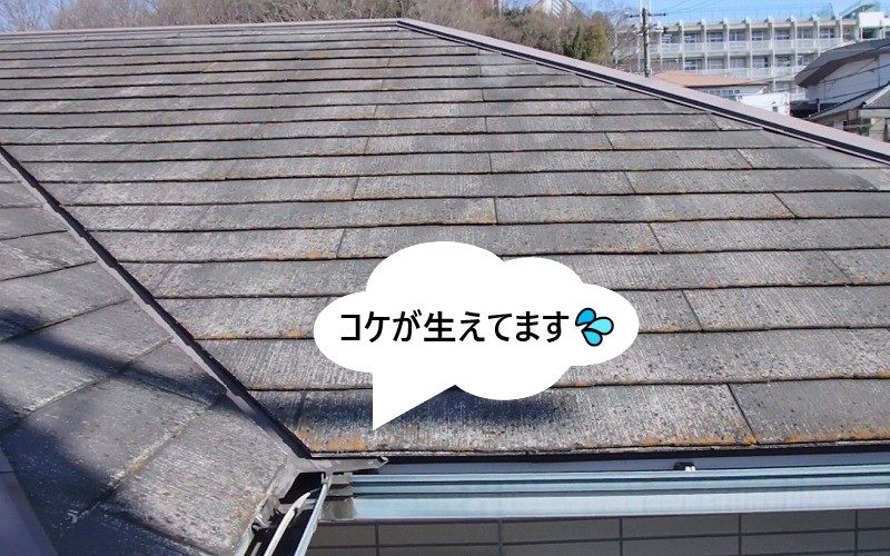スレートの劣化